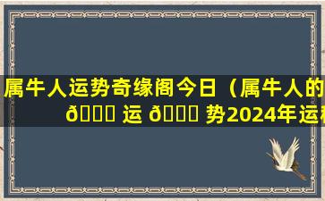 属牛人运势奇缘阁今日（属牛人的 🍁 运 🐟 势2024年运程如何）